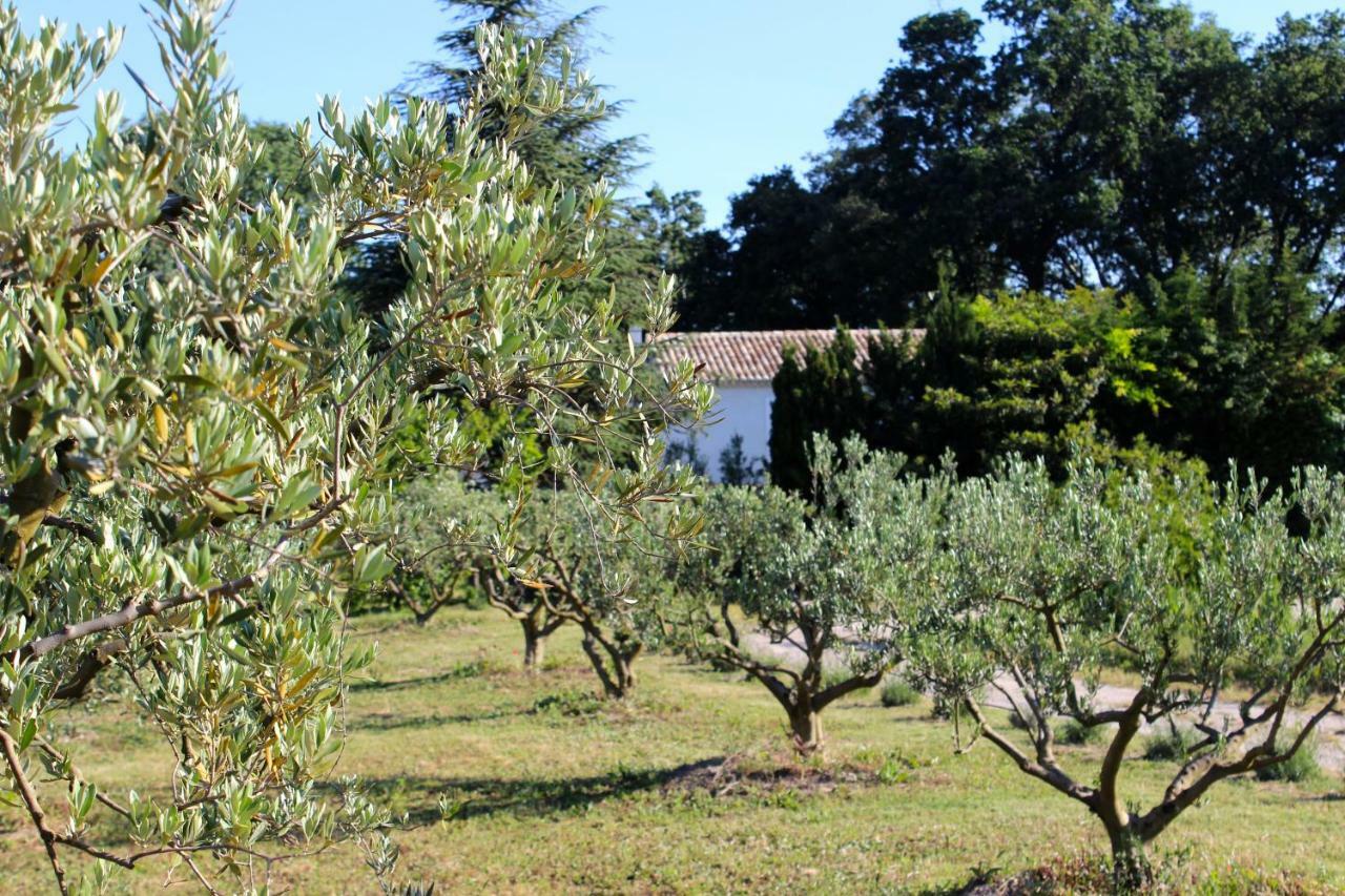 B&B Mas De Caustes Saint-Rémy-de-Provence Exteriér fotografie