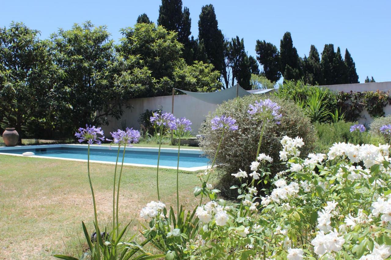 B&B Mas De Caustes Saint-Rémy-de-Provence Exteriér fotografie