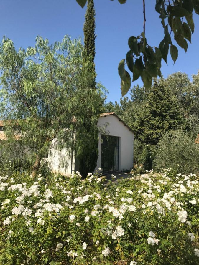 B&B Mas De Caustes Saint-Rémy-de-Provence Exteriér fotografie