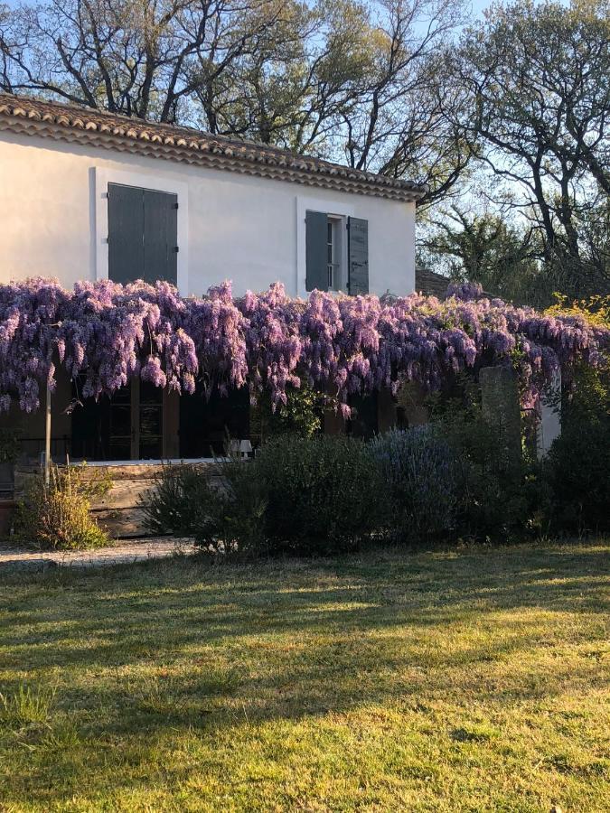 B&B Mas De Caustes Saint-Rémy-de-Provence Exteriér fotografie